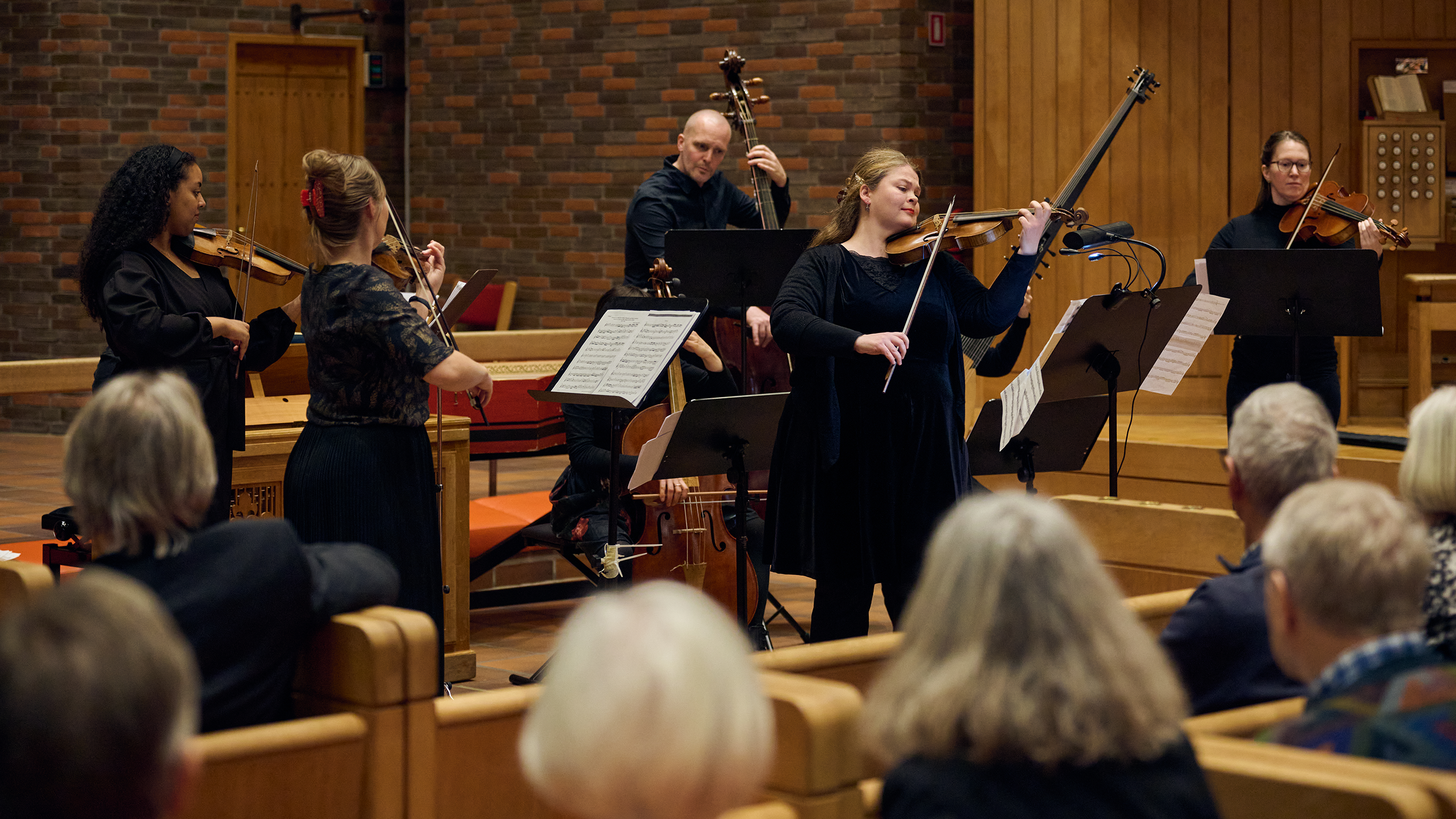 Fem strygere spiller koncert