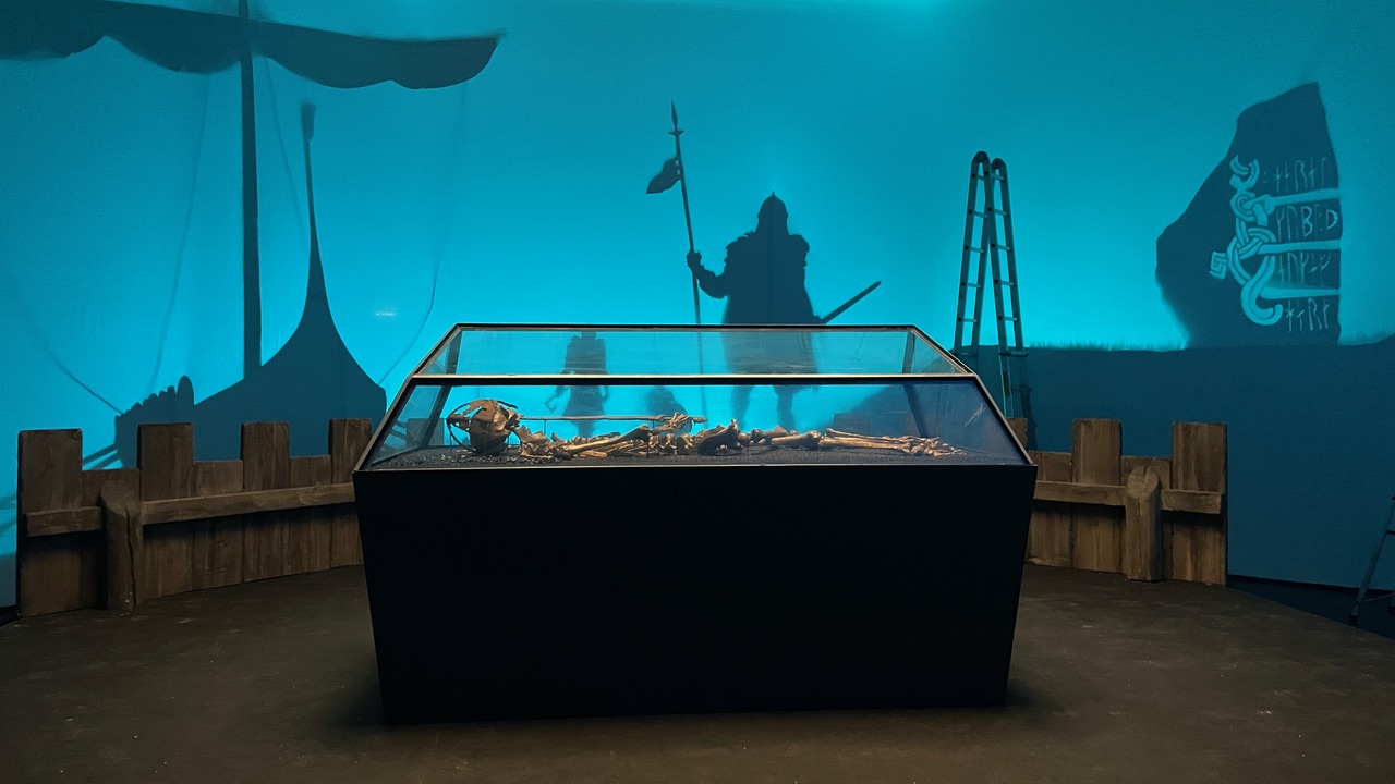 En skelet udstillet på et museum